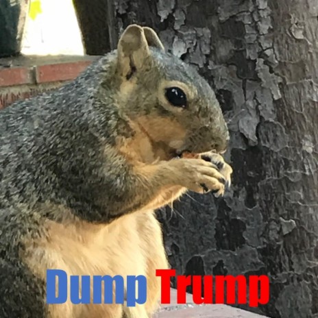 Dump Trump | Boomplay Music