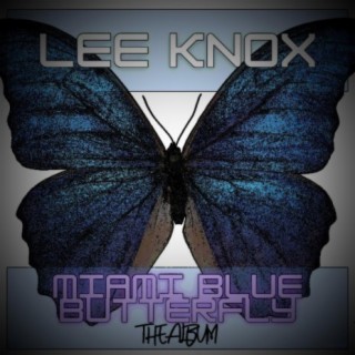 Miami Blue Butterfly