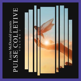 Pulse Collective, Vol. 2