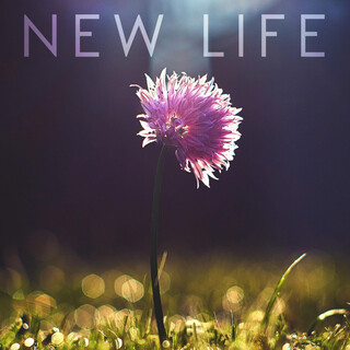 New Life