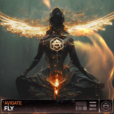 Fly (Extended Mix) | Boomplay Music