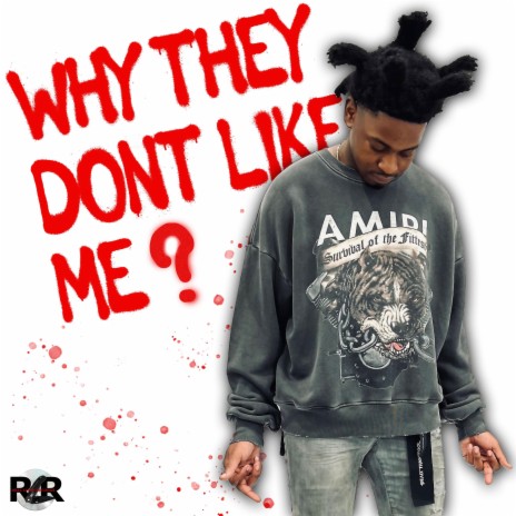 Why They Don't Like Me? | Boomplay Music