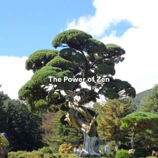 The Power of Zen