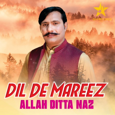 Dil De Mareez | Boomplay Music