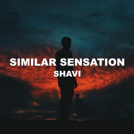 Similar Sensation | Boomplay Music