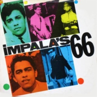 Impala's 66 | Boomplay Music