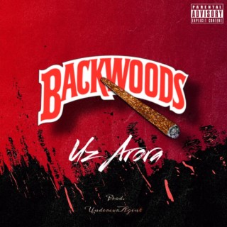 Backwoods lyrics | Boomplay Music