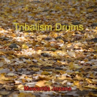 Tribalism Drums