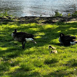 Family Outing