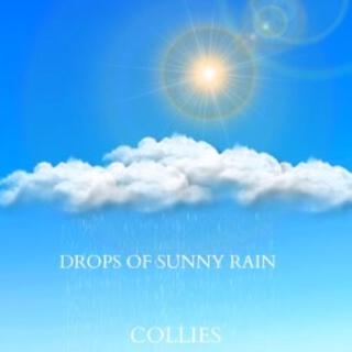 Drops of Sunny Rain