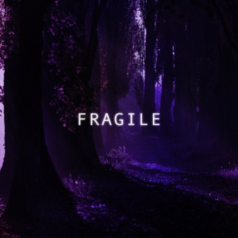 Fragile (Slowed + Reverb) | Boomplay Music