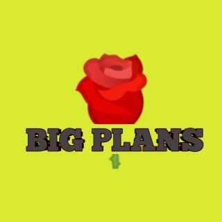 Big plans