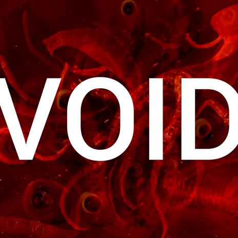 VOID | Boomplay Music