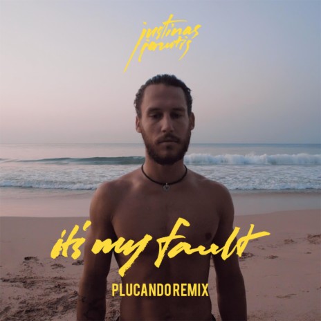 It's My Fault (Plucando Remix) | Boomplay Music