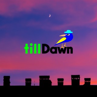 tillDawn