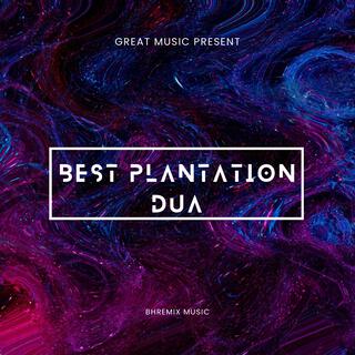 Best Plantation Dua