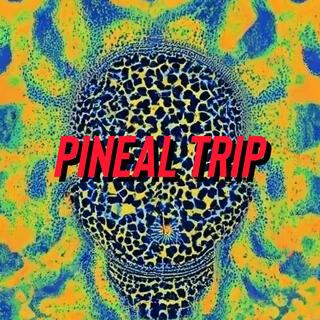 Pineal Trip