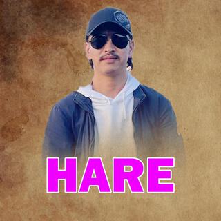 Hare (Suraj Maden Limbu)