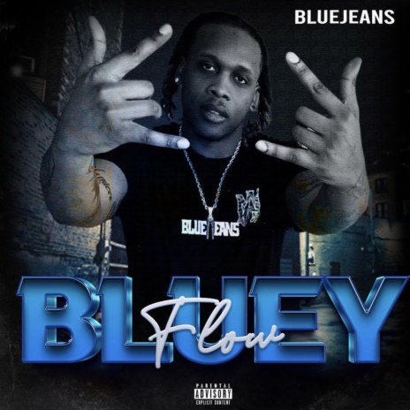 Bluey Flow | Boomplay Music