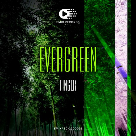 Evergreen (Original Mix) | Boomplay Music