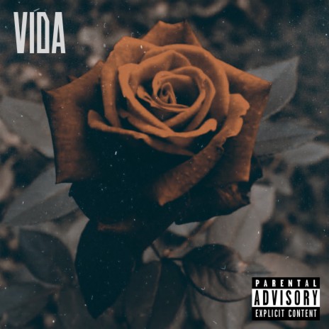 Vida ft. La ny | Boomplay Music