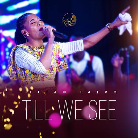 Till We See | Boomplay Music