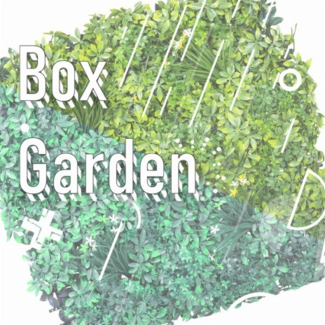 Boxgarden | Boomplay Music