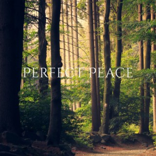 Perfect Peace