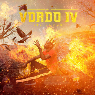 Voado IV