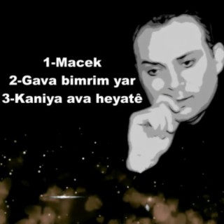 Macek-Gava bimirim yar-Kaniya ava heiya tê