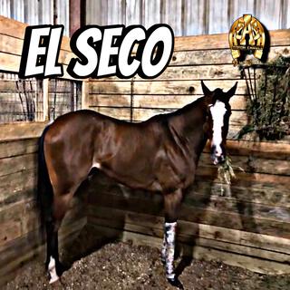 El Seco (I am mighty fast)