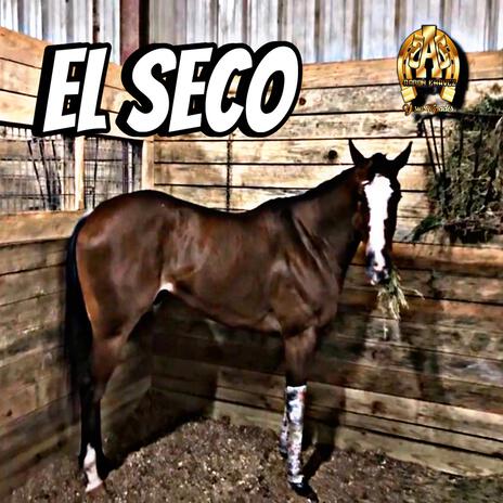 El Seco (I am mighty fast) | Boomplay Music