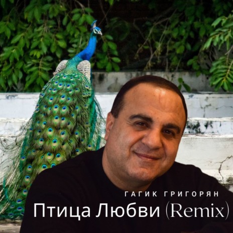 Птица Любви (Remix) | Boomplay Music