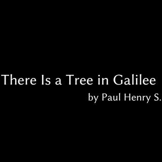 There Is a Tree in Galilee