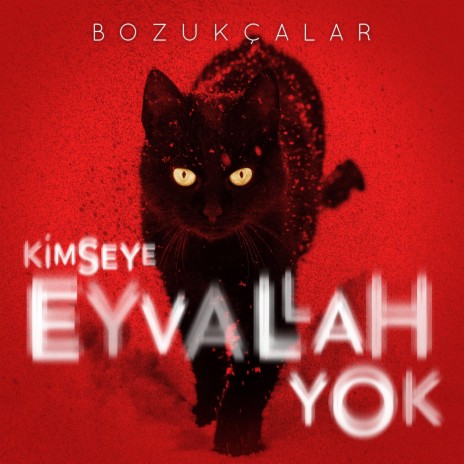 Kimseye Eyvallah Yok | Boomplay Music