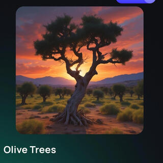 Olive Trees (DEMO)