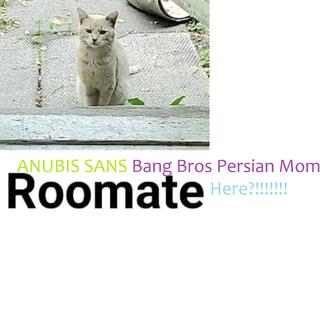 ANUBIS SANS Bang Bros' Persian Mom Roomate Here!!!??