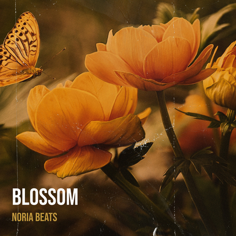 Blossom | Boomplay Music