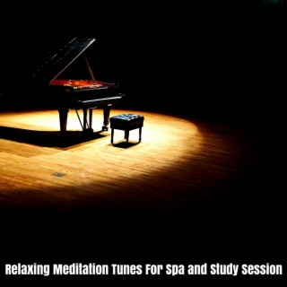 Relaxing Meditation Tunes for Spa and Study Session