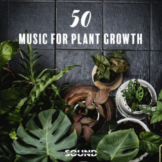 50 Music for Plant Growth: 24 Hour Care, Natural Biocycle, Root Restoration, Houseplant Health, Spring Frequencies All Year Round, Songs for Plants to Promote Growth, Bloom and Overall Health