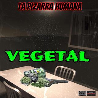 Vegetal