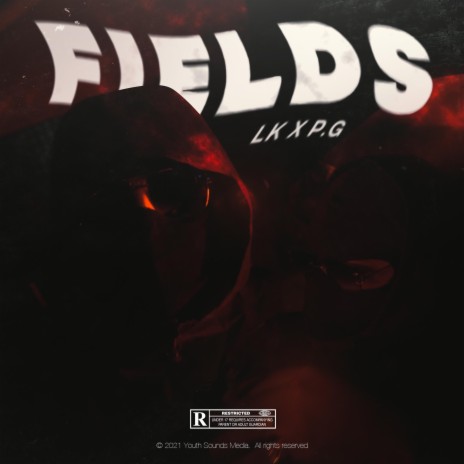 Fields ft. LK | Boomplay Music