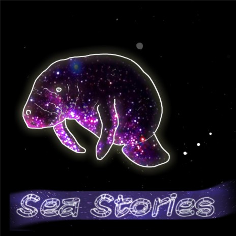 Stories | Boomplay Music