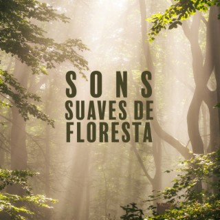 Sons suaves de floresta: Música para Relaxamento, Meditação, Yoga, Ambiente Florestal