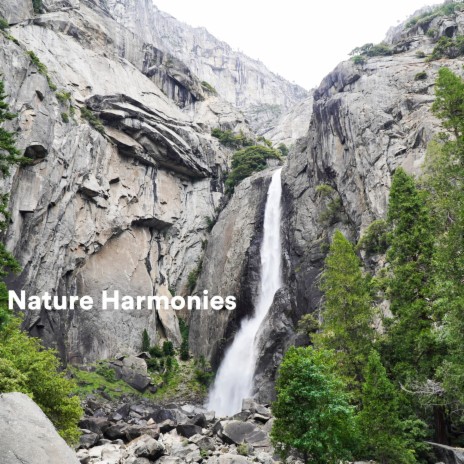 Wind Full of Promises ft. La Naturaleza del Sueño & Nature Recordings
