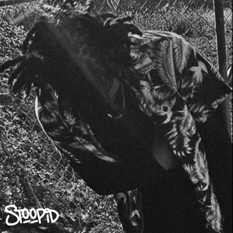 stoopid | Boomplay Music