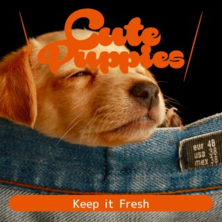 Keep it Fresh