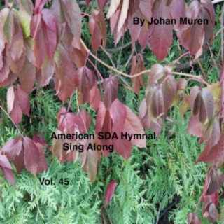 American Sda Hymnal Sing Along Vol.45