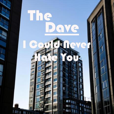 I Could Never Hate You | Boomplay Music