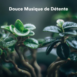 Douce musique de détente